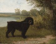 Jacques-Laurent Agasse A black water dog with a stick by a lake Spain oil painting artist